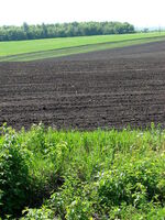 Black earth of e Chernozem soil in Russia.