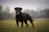 2,5 years old