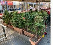 ANTES DE NUEVA INSTALACIÓN