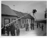 Radošovskí muži stavajú máj pred domom starostu (1962)