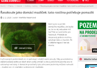 Návod, článek na zakázku