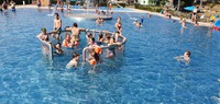 Schwimmen