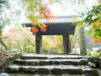 秋月城