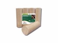 Energo TOP