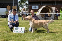 Winner working class EX 1, CAC