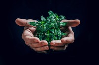 Photo by Jan Kopřiva on Unsplash