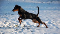 Hickson Lotus Lovegear tar sats i snön