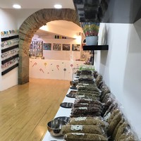 Garrarte Iruña - Pamplona