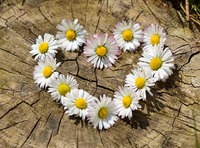 Selfcompassion