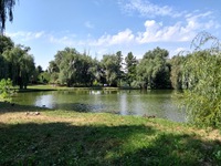 Abaliget: egy kis oázis