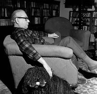 Fekete István író otthonában, Bogáncs nevű pulikutyájával, 1967-ben (Forrás: MTI | Fotó: Patkó Klári)