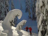 unberührte Winterlandschaft