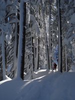 Schneeschuhwandern