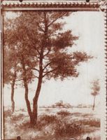 Zwijnaarde - s.d.