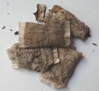 suunhyvinvointi.fi