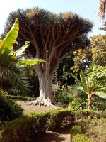 botanická zahrada za radnicí